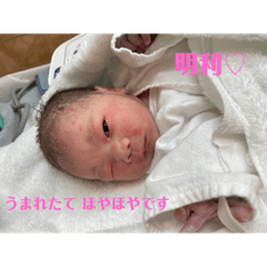 [LINEスタンプ] babyあきとし #1