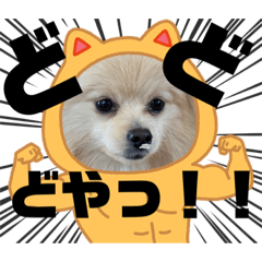 [LINEスタンプ] 大人犬氏