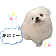 [LINEスタンプ] うりコチパン3