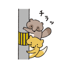 [LINEスタンプ] たぬきくんきつねくん