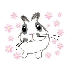 [LINEスタンプ] うさぎのまめさんです