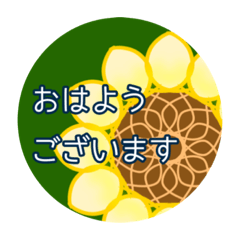 [LINEスタンプ] 見やすくて大きいまんまるスタンプ