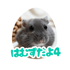 [LINEスタンプ] はむずだよ4
