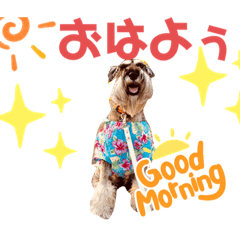 [LINEスタンプ] 新カールくん！