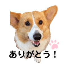 [LINEスタンプ] sora君の1日