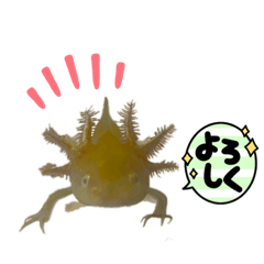 [LINEスタンプ] 海三郎(うみざぶろう)