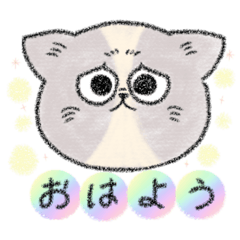 [LINEスタンプ] エキゾチックにゃんこの日常スタンプ