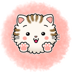 [LINEスタンプ] かわいい♡もふもふ猫の毎日スタンプ