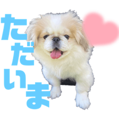 [LINEスタンプ] ペキ5LIFE