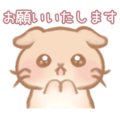 [LINEスタンプ] 表情沢山お願いポーズ♡スタンプ