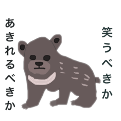 [LINEスタンプ] ねこキリンの愉快な仲間たち13