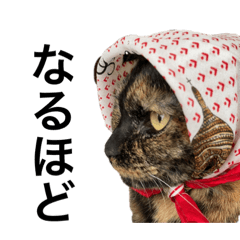 [LINEスタンプ] 猫くんとトム4