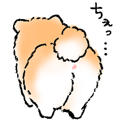 [LINEスタンプ] ポメラニアン ちゃいろ