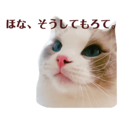 [LINEスタンプ] ロトくんのスタンプ②