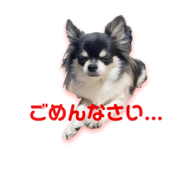 [LINEスタンプ] ももちゃんスタンプ Vol3