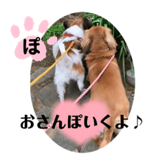 [LINEスタンプ] わんことねずみの日常会話