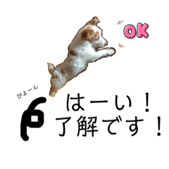 [LINEスタンプ] まろンプ4