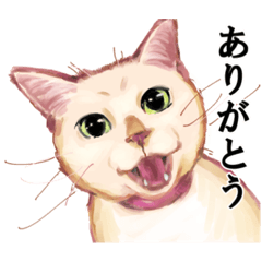 [LINEスタンプ] なむなむねこのエリンさん