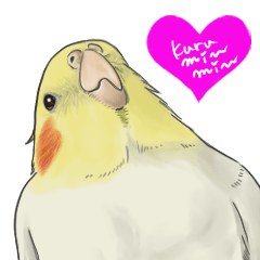 [LINEスタンプ] 鳥飼妄想オカメーズ1