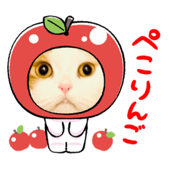 [LINEスタンプ] 猫ちゃんの使って楽しいstamp 123