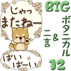 [LINEスタンプ] 【Big】ちゃちゃ丸 12『ボタニカル風』