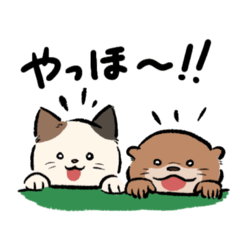 [LINEスタンプ] ねことかわうその日常で使いやすいスタンプ