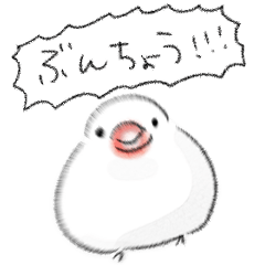 [LINEスタンプ] シンプル 文鳥 日常会話