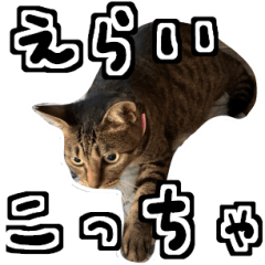 [LINEスタンプ] 関西弁を話す さくら猫みーこ