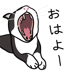 [LINEスタンプ] 7匹の猫の日常