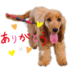 [LINEスタンプ] tripleC.