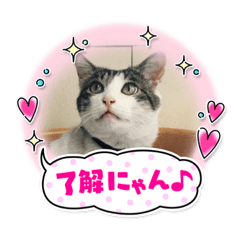 [LINEスタンプ] ミミでごあいさつ