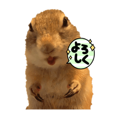 [LINEスタンプ] 鈴木家のリチャードソンジリス