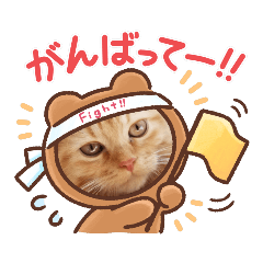 [LINEスタンプ] スコとポメラニアン