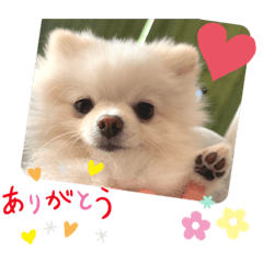 [LINEスタンプ] 秘蔵ちびっ子スタンプ