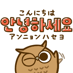 [LINEスタンプ] ミミズクの韓国語♡