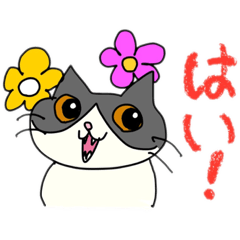 [LINEスタンプ] ねこのこはくスタンプ②