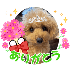 [LINEスタンプ] やんちゃな犬