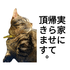 [LINEスタンプ] うちのケベナマ2
