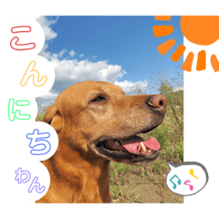 [LINEスタンプ] 田中家のあむすぺしゃるぼりゅーみーぱっく