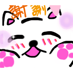 [LINEスタンプ] 白ねこちゃんのあいさつスタンプ