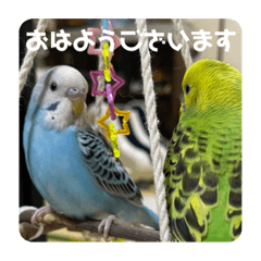 [LINEスタンプ] ゆきちゃんスタンプ33