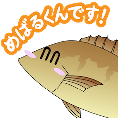 [LINEスタンプ] めばるくんスタンプ