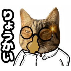 [LINEスタンプ] 猫(キジトラ)日常で使える可愛いスタンプ4