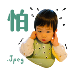 [LINEスタンプ] チャチャちゃんの日常(1Y)