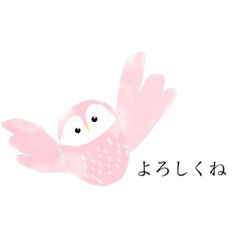 [LINEスタンプ] 動物のあいさつ        (日本語版)