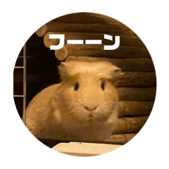 [LINEスタンプ] ねぼです。
