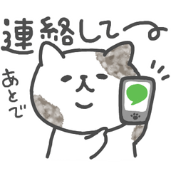 [LINEスタンプ] 使える◎ゆる猫スタンプ【日常会話編Ⅱ】
