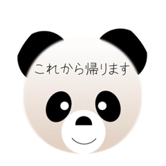 [LINEスタンプ] パンダのパンくん、ご挨拶