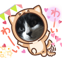 [LINEスタンプ] しろくろにゃん