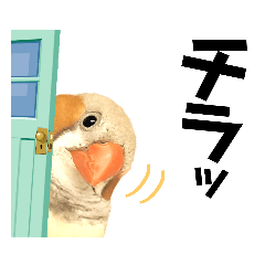 [LINEスタンプ] キンカーズの日常Part2